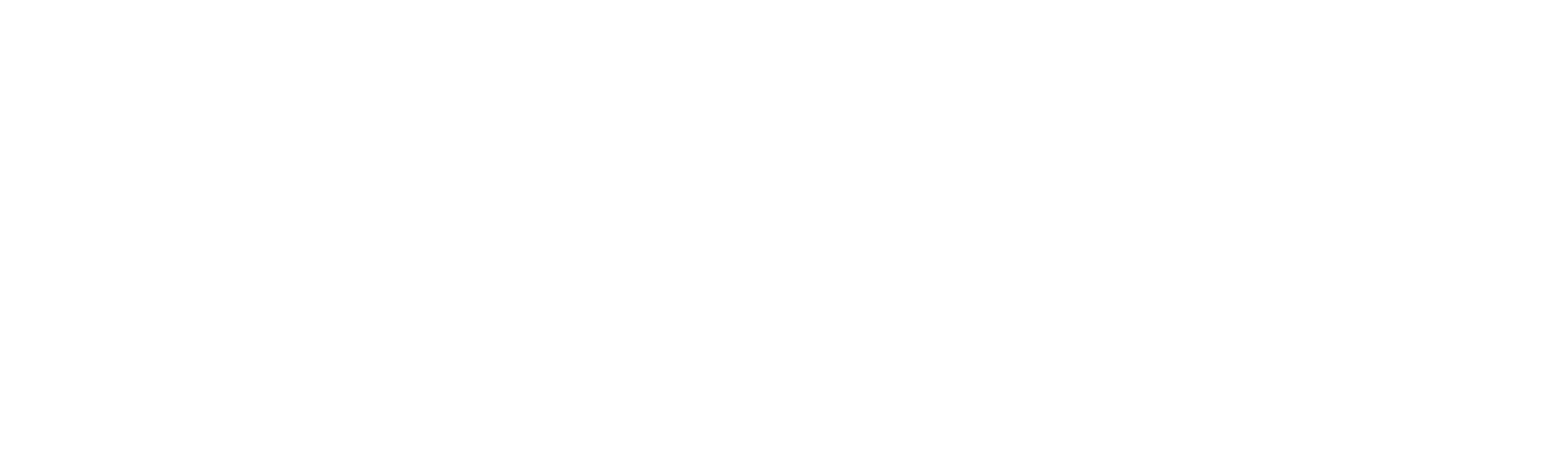 Maxila Dental